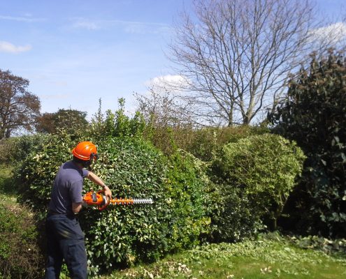 Hedge Cutting Newark